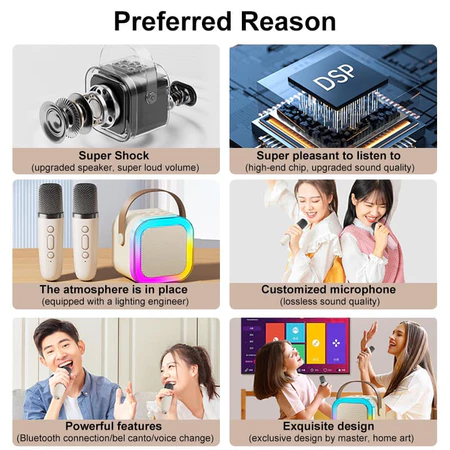 Speaker Karaoke Set (2 Mic) High End RGB